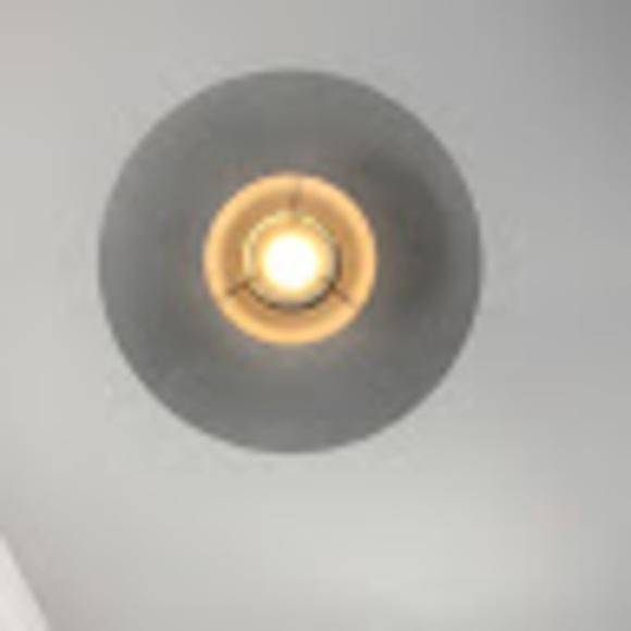 Meet your Posher, Junny - Picture 1 of 1